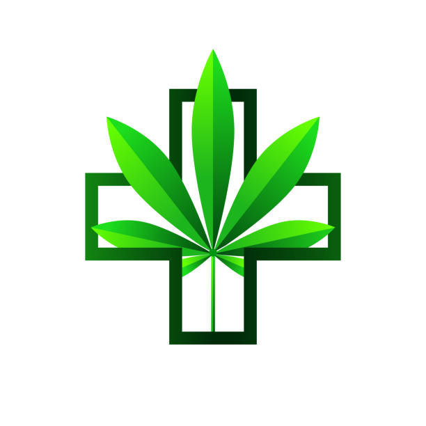 Medical Supplies in Sydney – AusCare Store